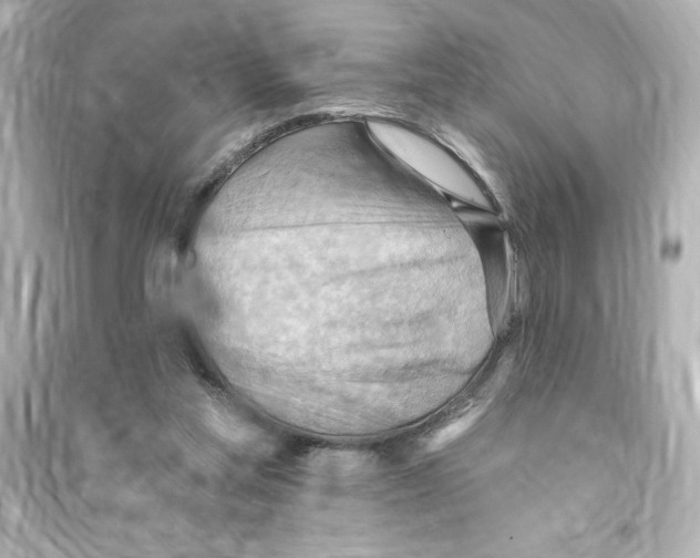X0000093560205200711121021