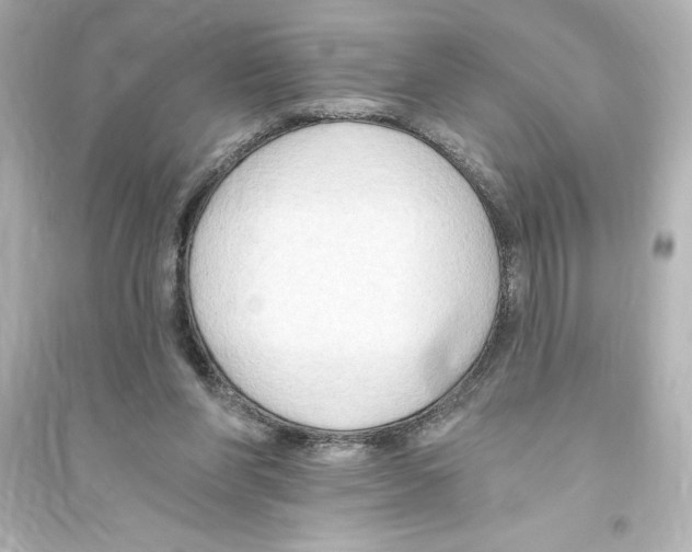 X0000093560206200711121021