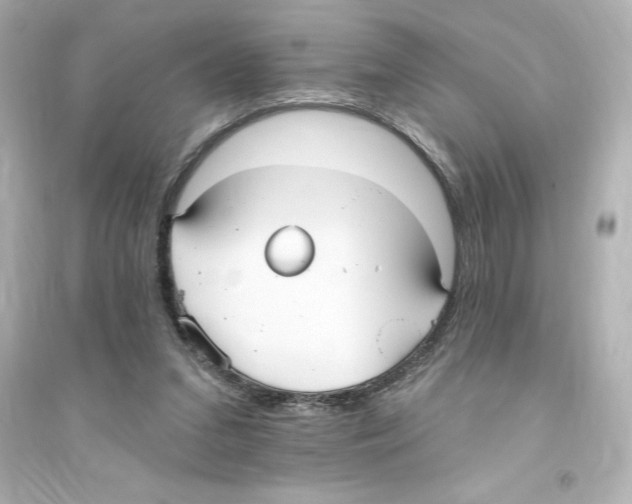 X0000093560207200711121021