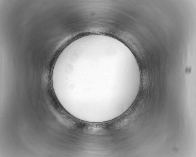 X0000093560208200711121021