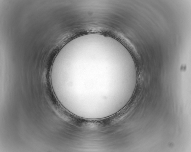 X0000093560209200711121021