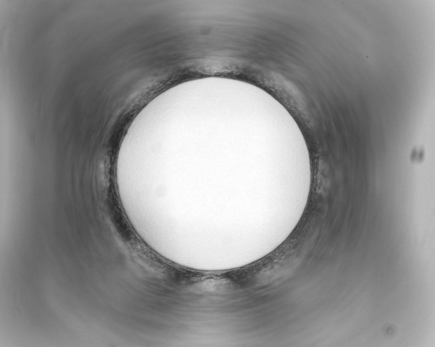 X0000093560210200711121021