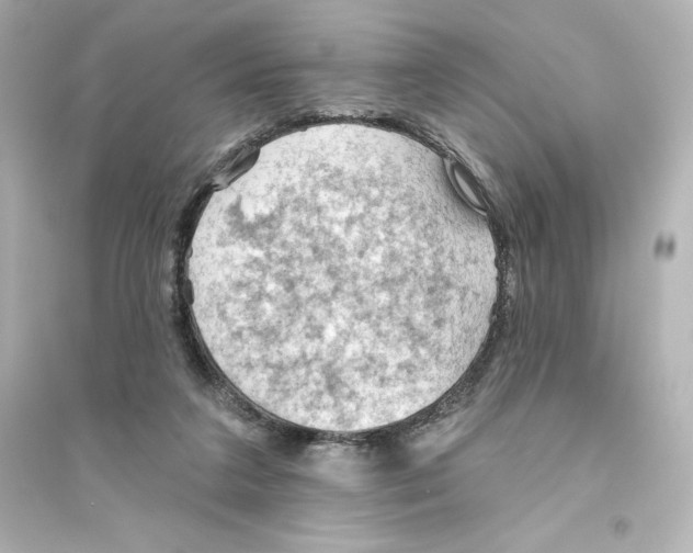 X0000093560211200711121021