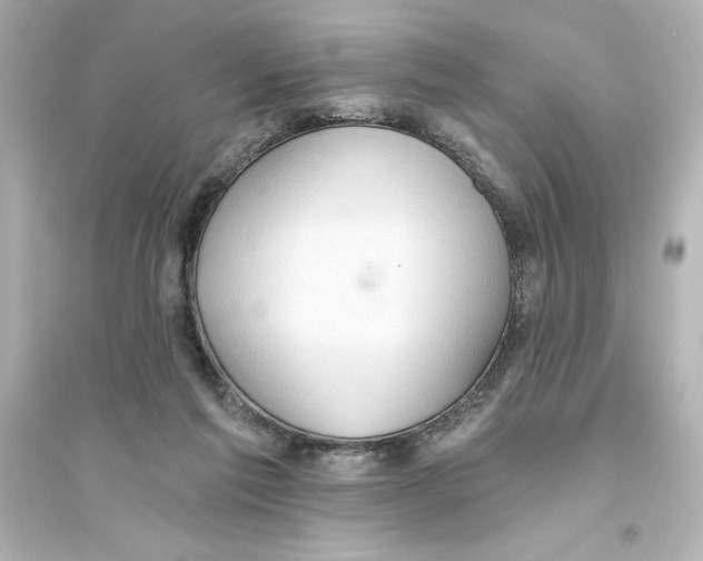 X0000093560213200711121021