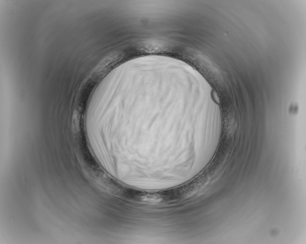 X0000093560214200711121021