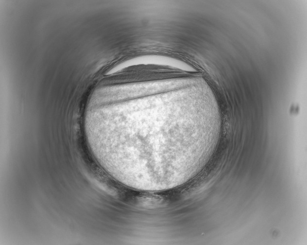 X0000093560215200711121021