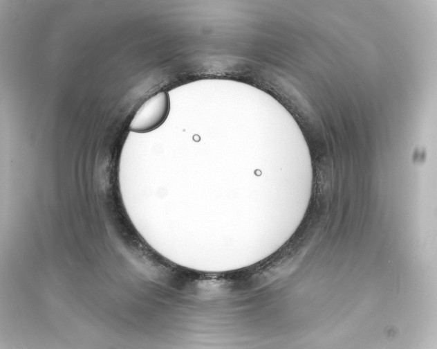 X0000093560216200711121021