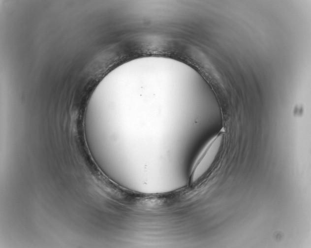 X0000093560217200711121021