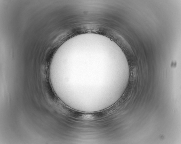 X0000093560218200711121021