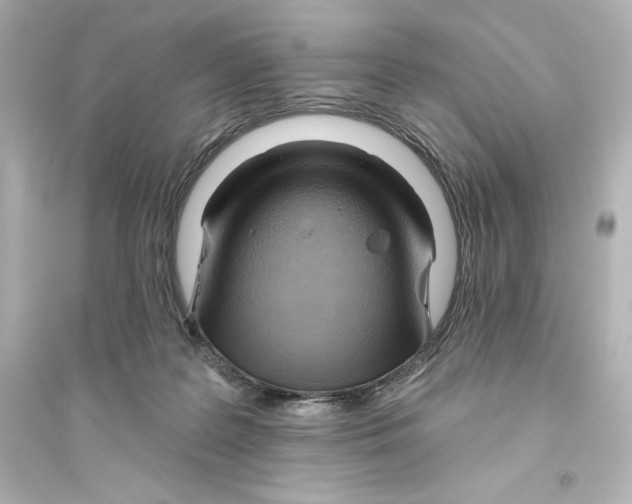 X0000093560219200711121021