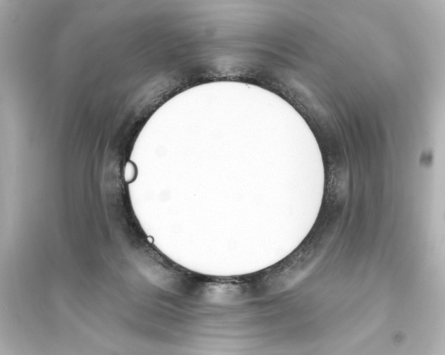 X0000093560220200711121021