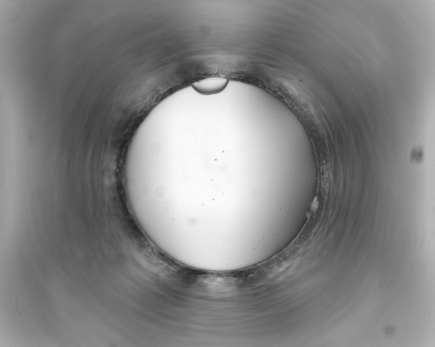 X0000093560221200711121021