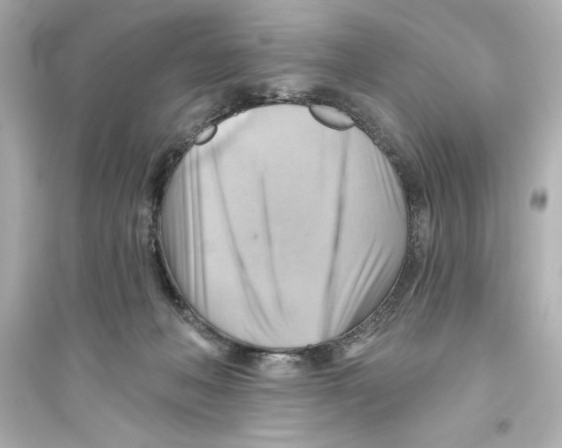 X0000093560222200711121021