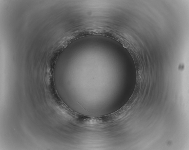X0000093560223200711121021