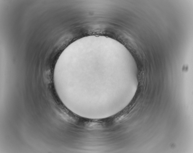 X0000093560224200711121021