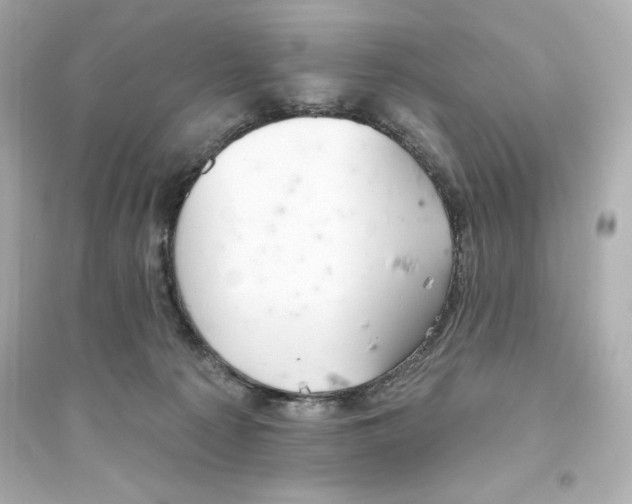 X0000093560225200711121021