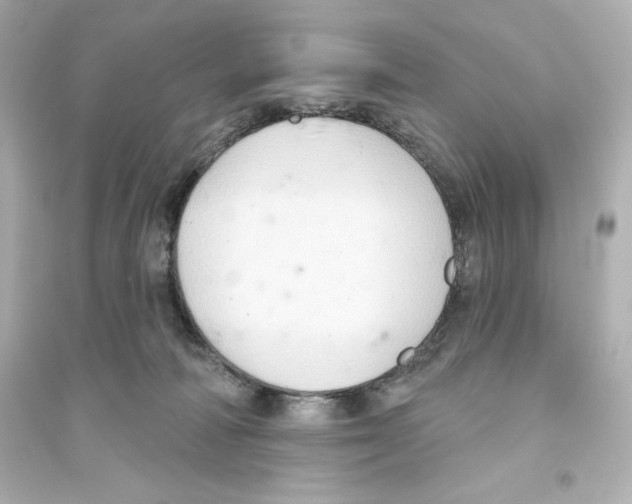 X0000093560226200711121021