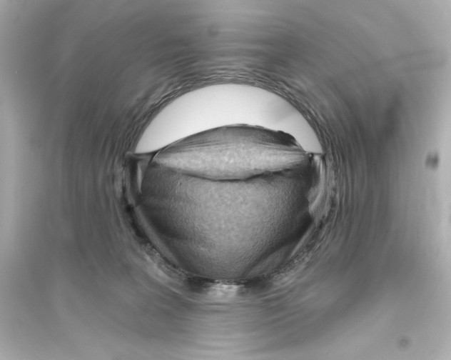 X0000093560227200711121021