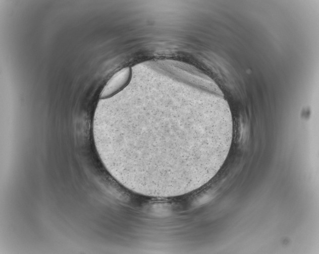 X0000093560228200711121021