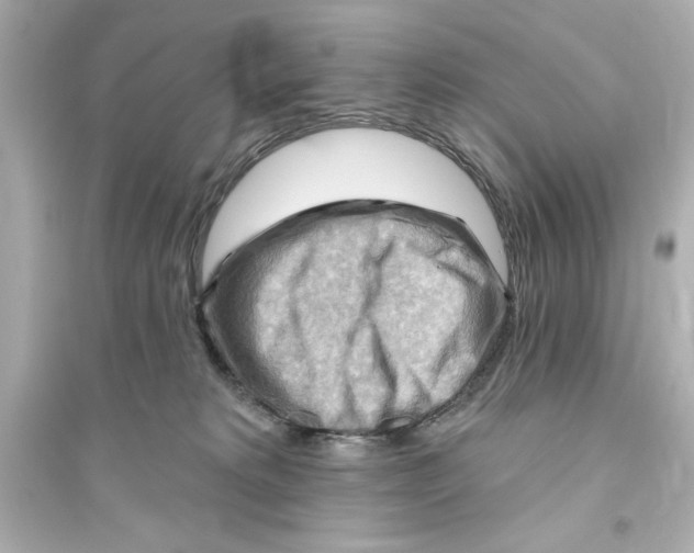 X0000093560229200711121021