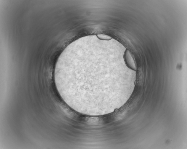 X0000093560230200711121021