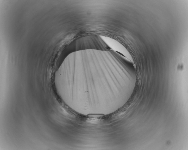X0000093560231200711121021