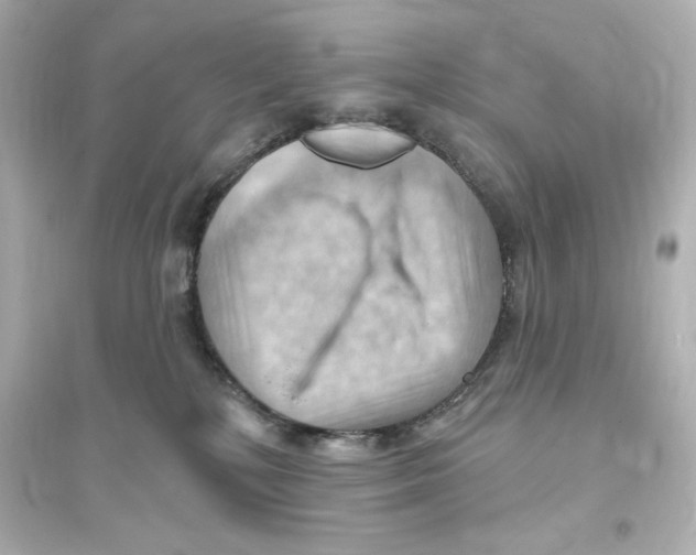 X0000093560232200711121021