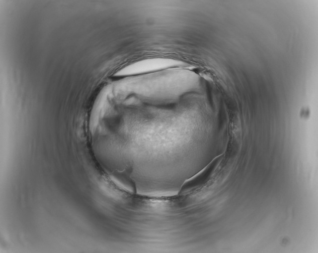X0000093560233200711121021