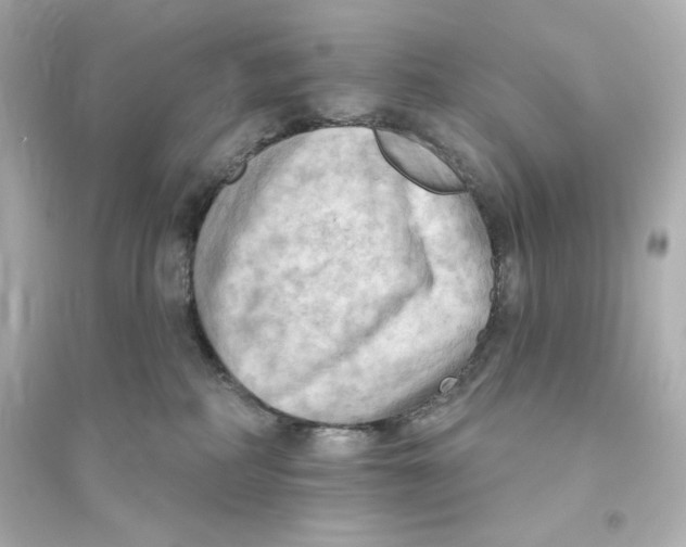 X0000093560234200711121021