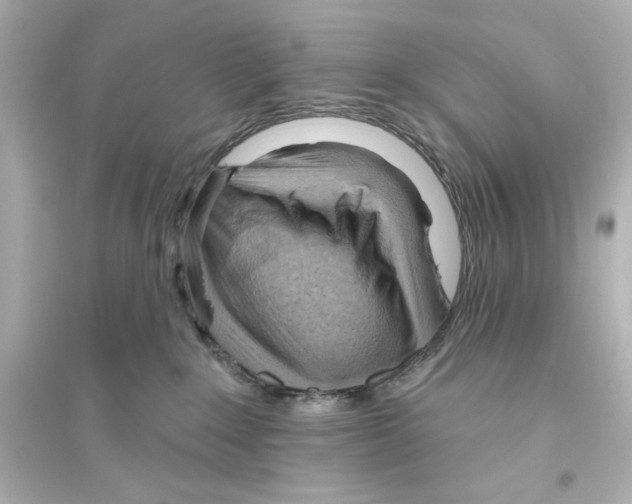 X0000093560235200711121021