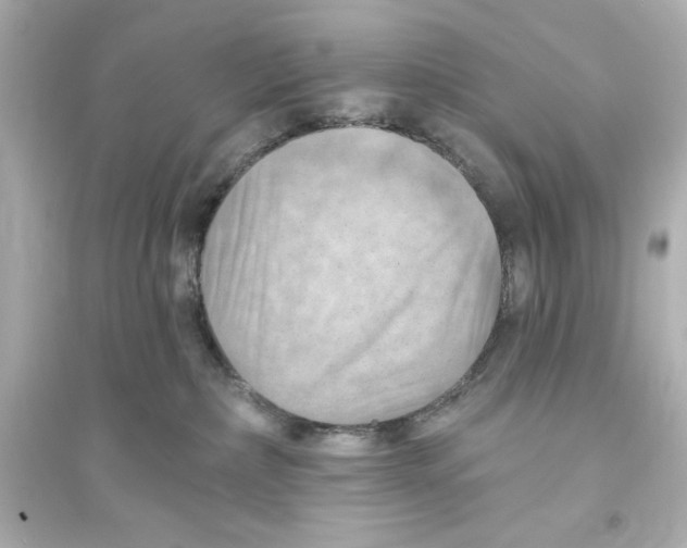 X0000093560236200711121021