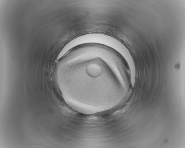 X0000093560237200711121021