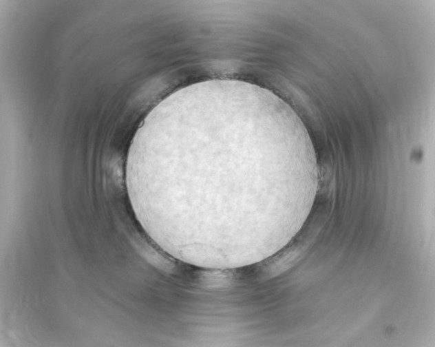 X0000093560238200711121021