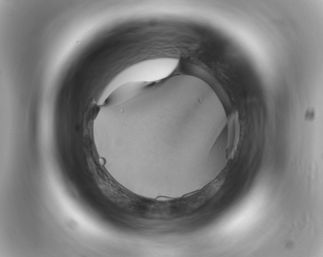 X0000093560239200711121021