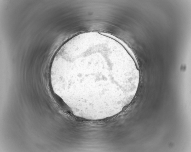 X0000093560241200711121020