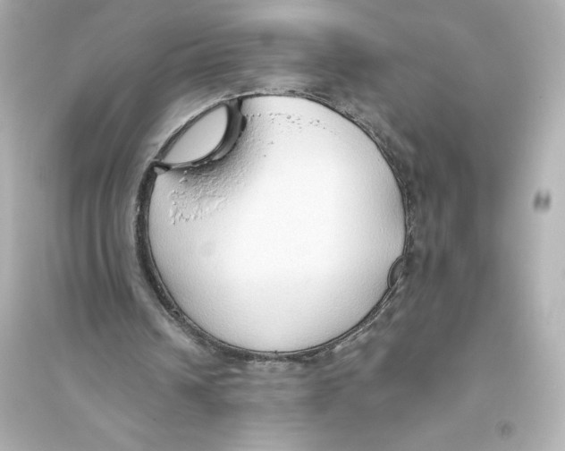X0000093560242200711121020