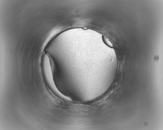 X0000093560244200711121020