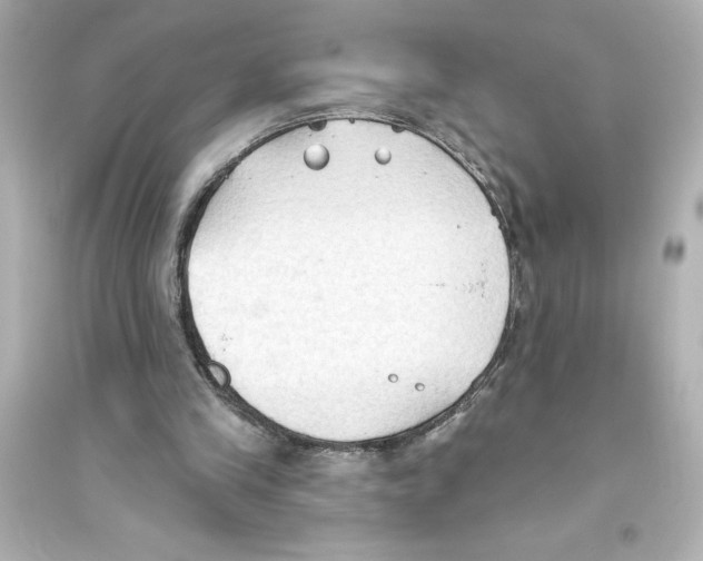 X0000093560245200711121020