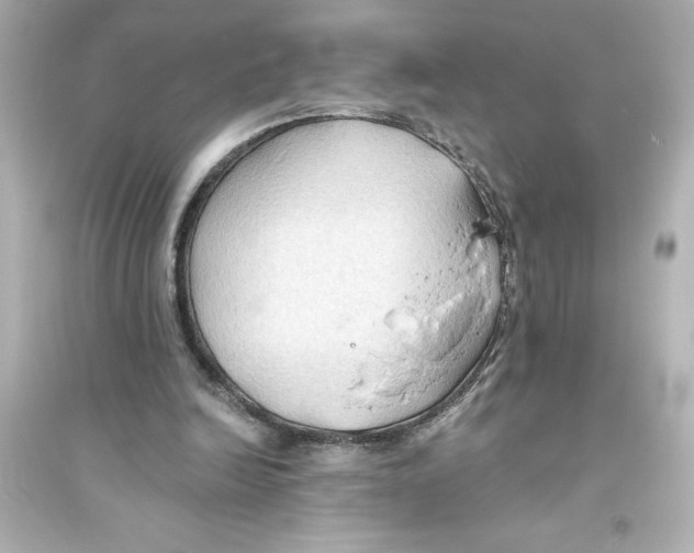 X0000093560246200711121020