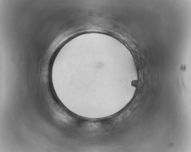 X0000093560247200711121020