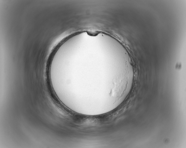 X0000093560248200711121020