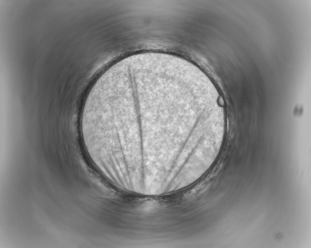 X0000093560249200711121020