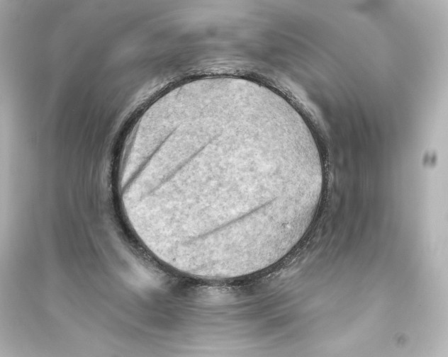 X0000093560250200711121020