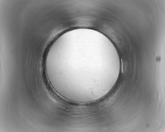 X0000093560252200711121020