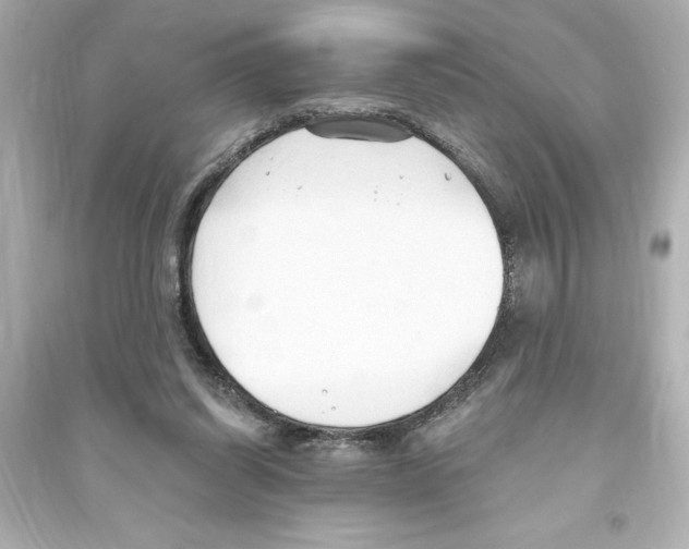X0000093560254200711121020