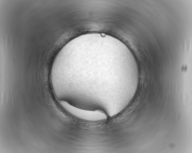X0000093560257200711121021
