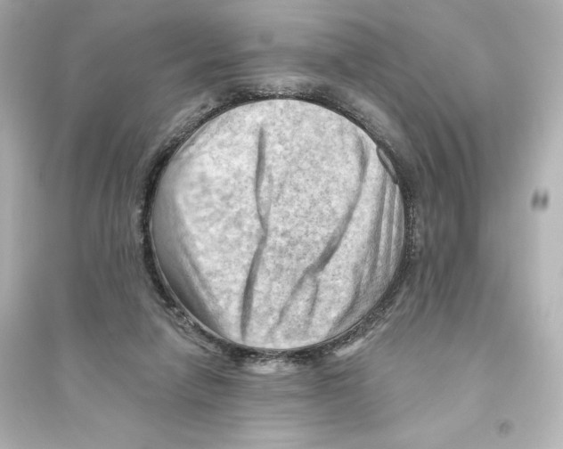 X0000093560258200711121021