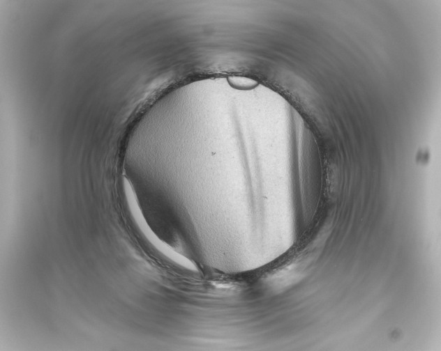 X0000093560260200711121021