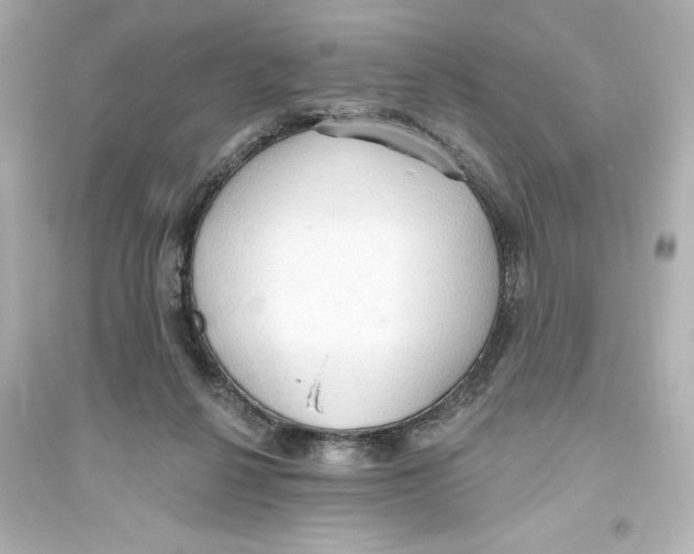 X0000093560264200711121021