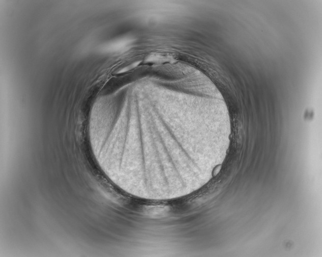 X0000093560266200711121021